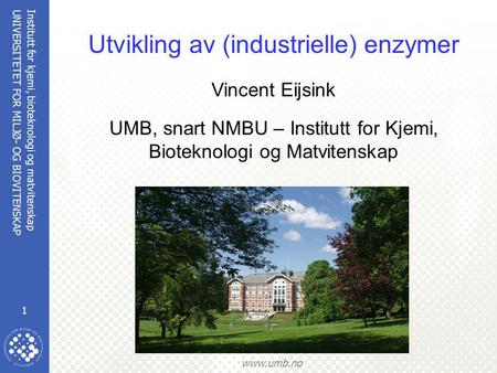 Institutt for kjemi, bioteknologi og matvitenskap 1 UNIVERSITETET FOR MILJØ- OG BIOVITENSKAP www.umb.no Utvikling av (industrielle) enzymer Vincent Eijsink.