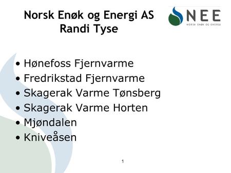 Norsk Enøk og Energi AS Randi Tyse