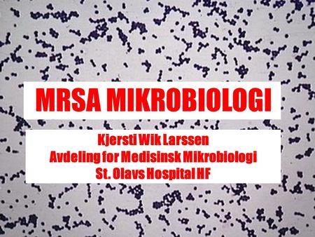 Avdeling for Medisinsk Mikrobiologi