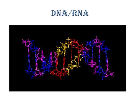 DNA/RNA http://www.youtube.com/watch?v=qy8dk5iS1f0.