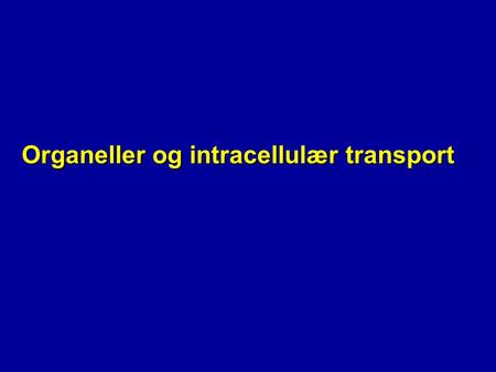 Organeller og intracellulær transport