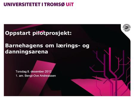 Oppstart pilotprosjekt: Barnehagens om lærings- og danningsarena Torsdag 8. desember 2012 1. am. Bengt-Ove Andreassen.
