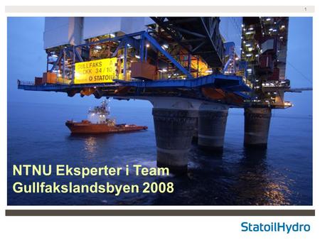 NTNU Eksperter i Team Gullfakslandsbyen 2008