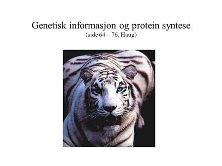 Genetisk informasjon og protein syntese (side 64 – 76, Haug)