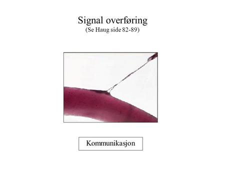 Signal overføring (Se Haug side 82-89)
