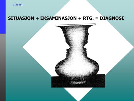 Modul 4 SITUASJON + EKSAMINASJON + RTG. = DIAGNOSE.
