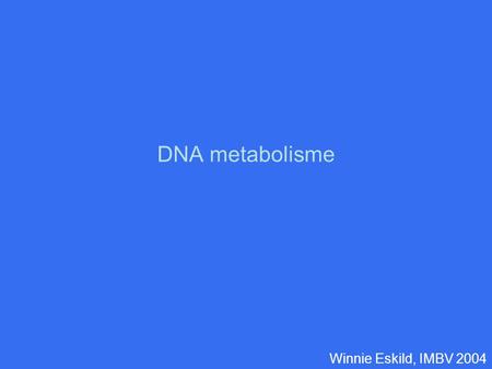 DNA metabolisme Winnie Eskild, IMBV 2004.