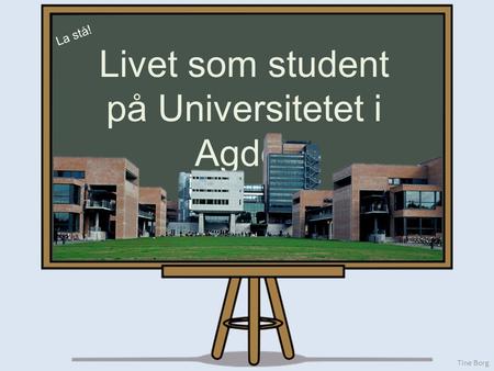 Tine Borg La stå! Livet som student på Universitetet i Agder.