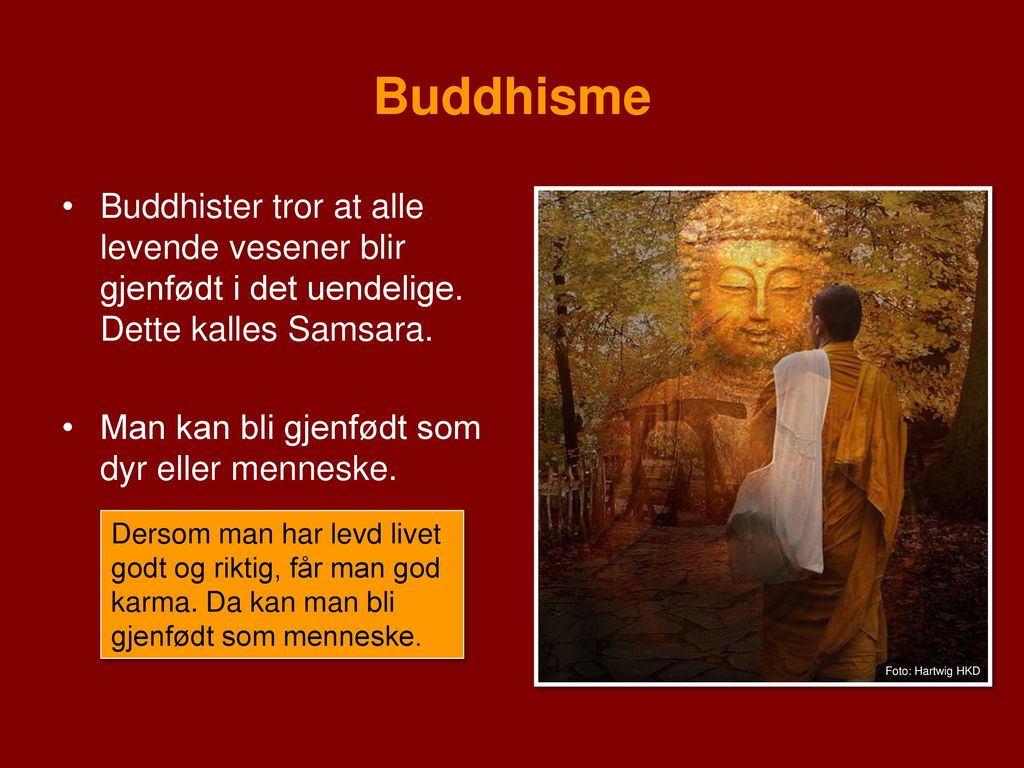 Buddhisme Buddhister tror at alle levende vesener blir gjenfødt i det uendelige. Dette kalles Samsara.