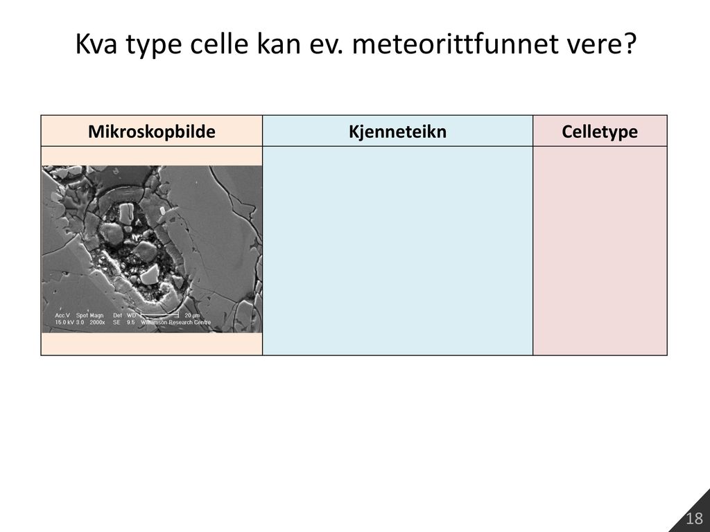Kva type celle kan ev. meteorittfunnet vere