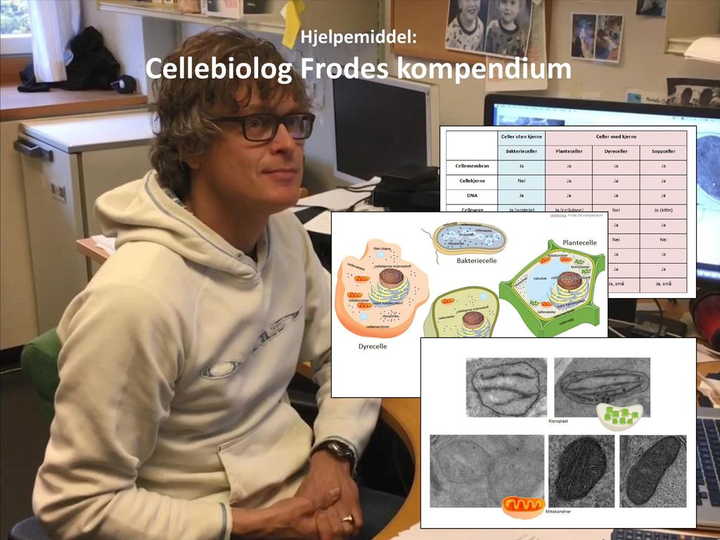 Cellebiolog Frodes kompendium
