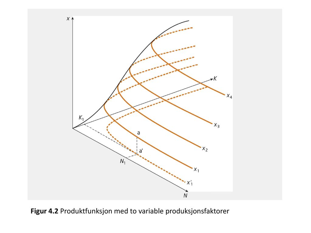 Figur 4.2 Produktfunksjon med to variable produksjonsfaktorer