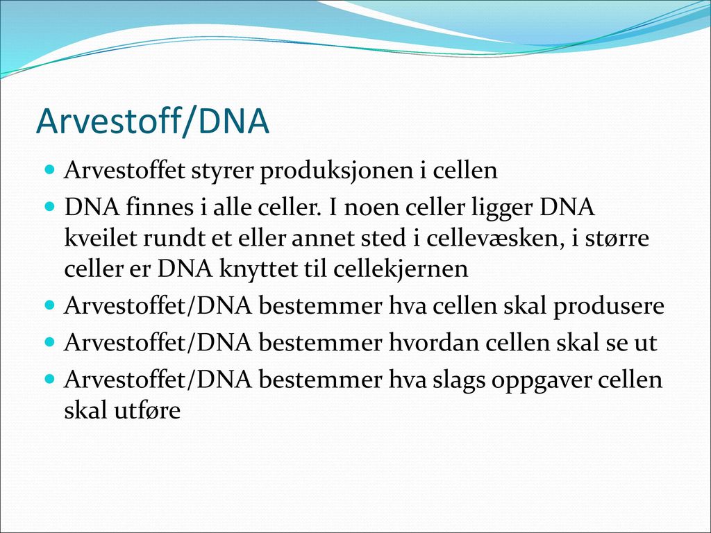 Arvestoff/DNA Arvestoffet styrer produksjonen i cellen