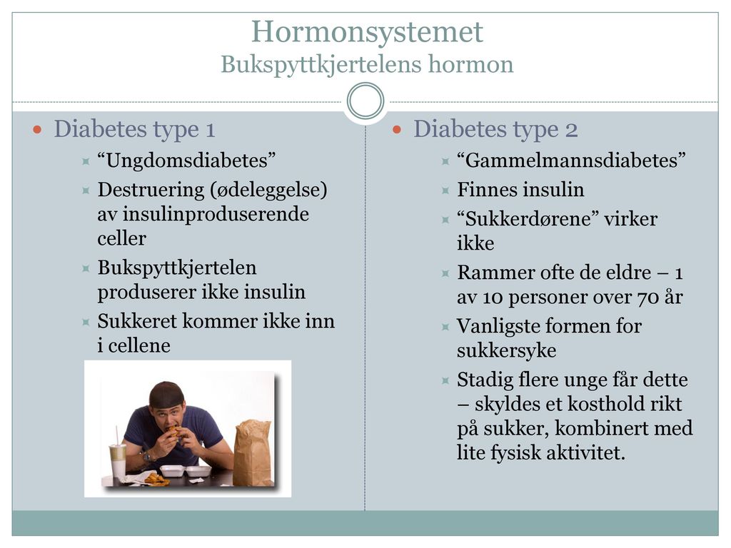Hormonsystemet Bukspyttkjertelens hormon