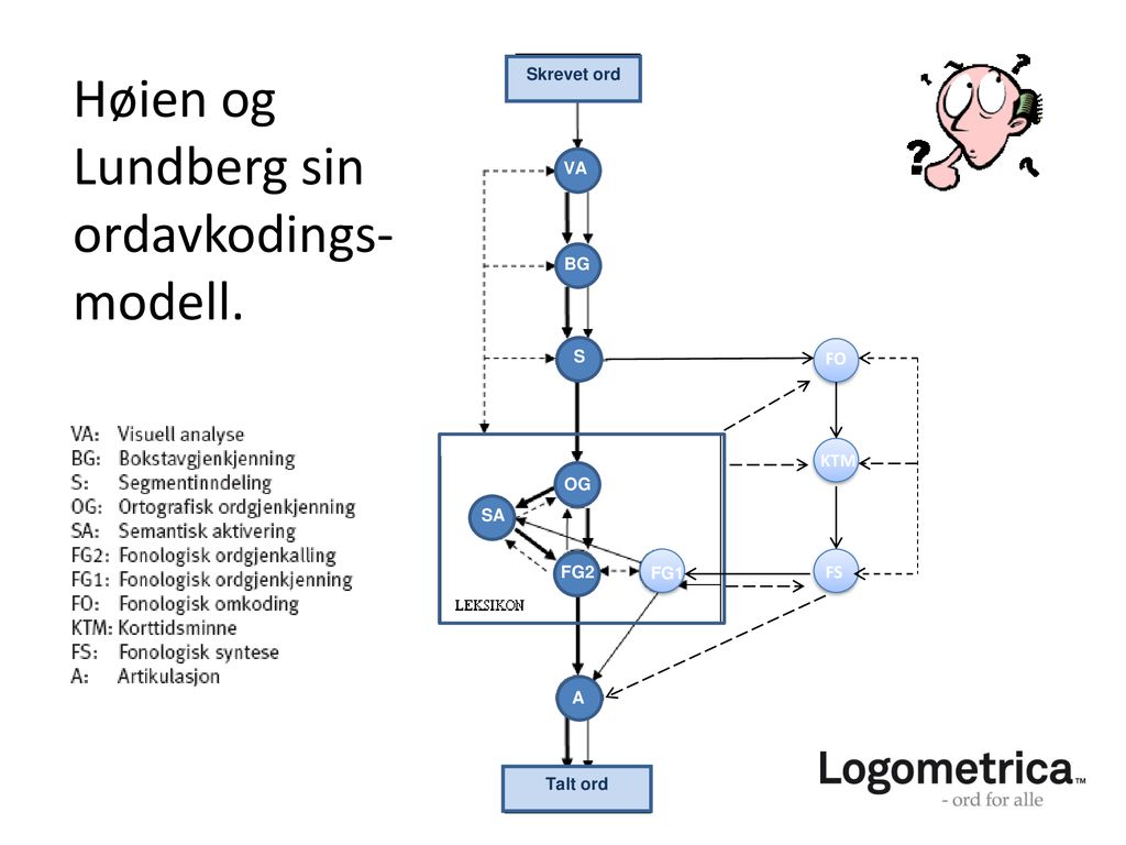 Høien og Lundberg sin ordavkodings-modell.