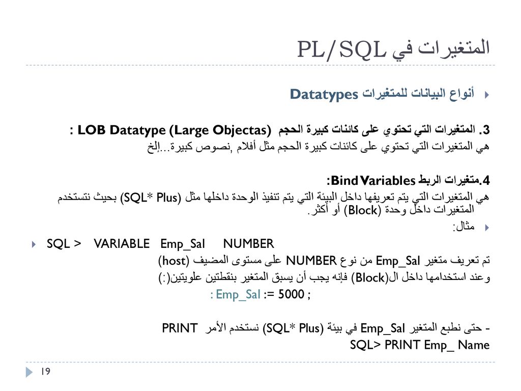 المتغيرات في PL/SQL أنواع البيانات للمتغيرات Datatypes
