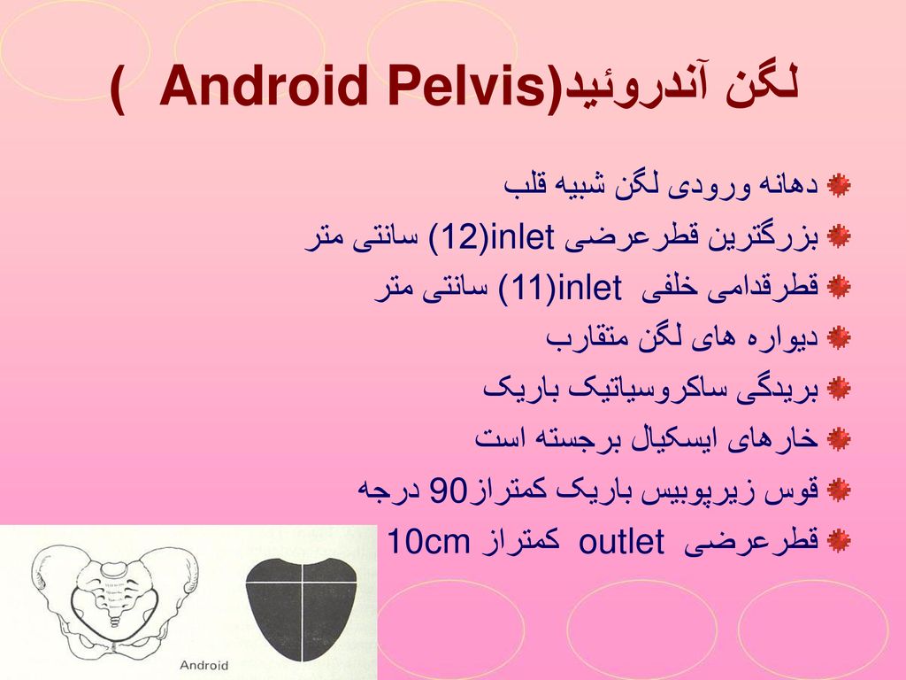 لگن آندروئید( Android Pelvis )