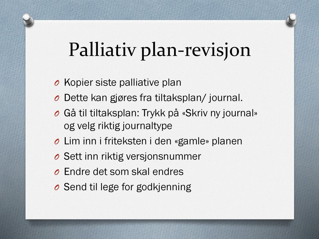 Palliativ plan-revisjon