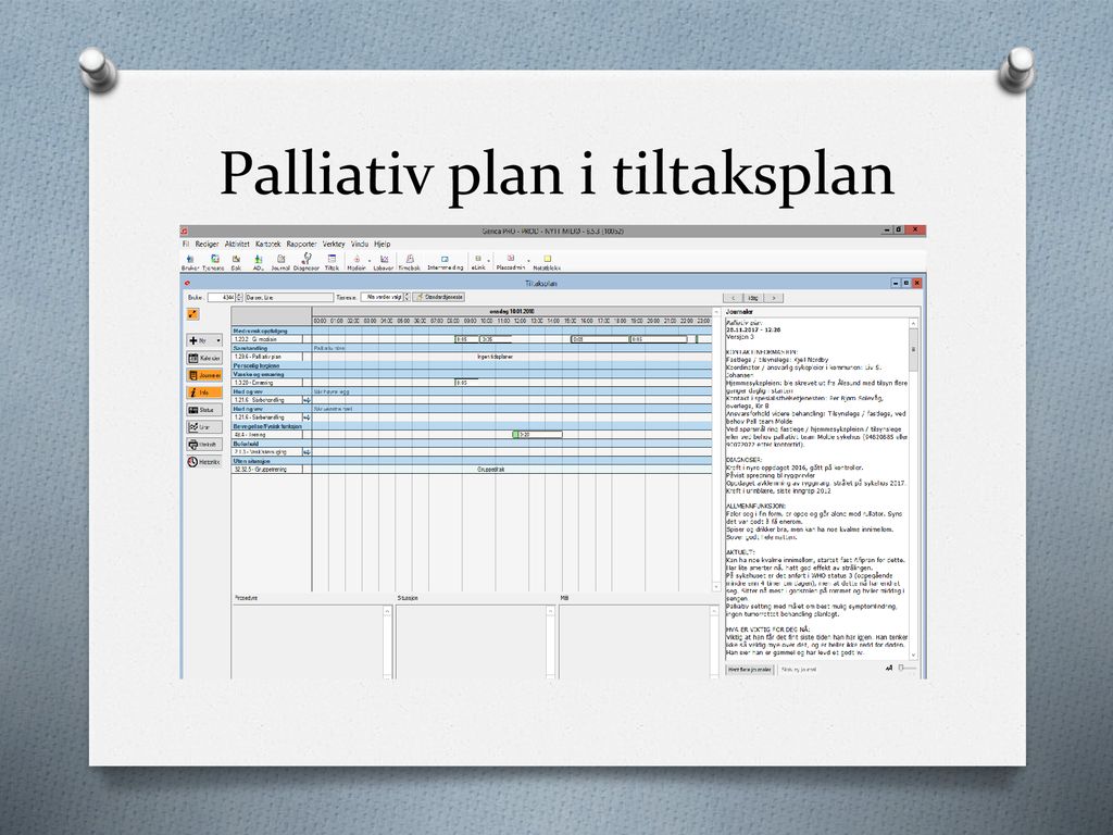 Palliativ plan i tiltaksplan