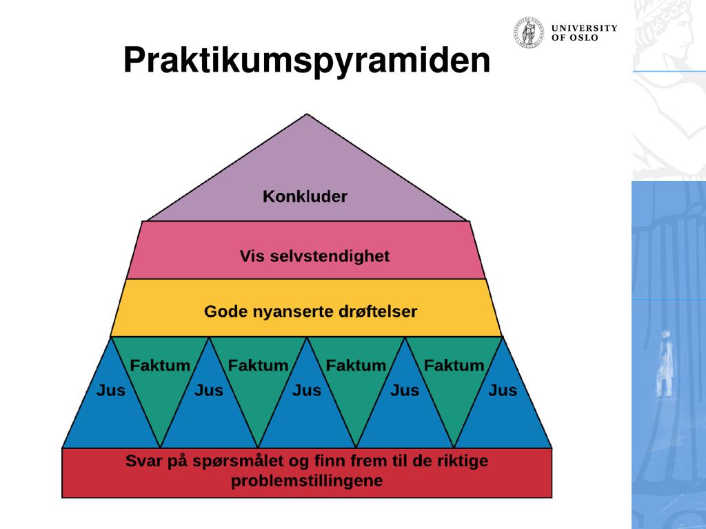 Praktikumspyramiden