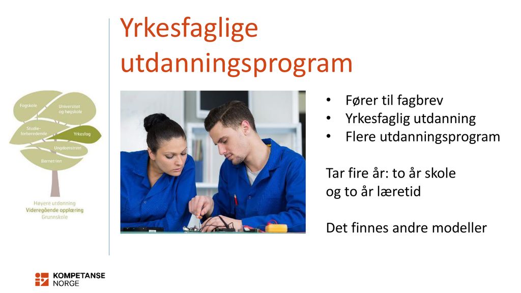 Yrkesfaglige utdanningsprogram Fører til fagbrev Yrkesfaglig utdanning