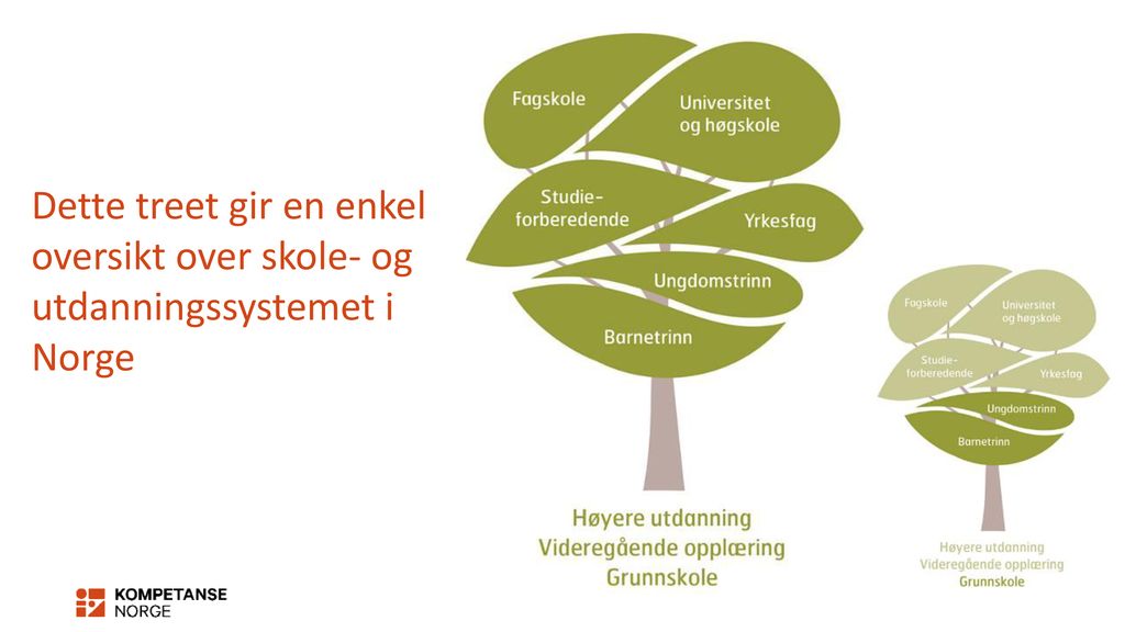 Dette treet gir en enkel oversikt over skole- og utdanningssystemet i Norge