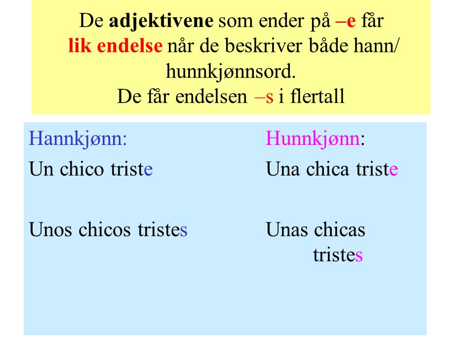 De adjektivene som ender på –e får lik endelse når de beskriver både hann/ hunnkjønnsord. De får endelsen –s i flertall