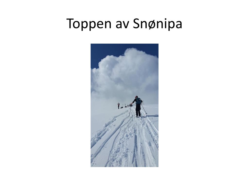 Toppen av Snønipa