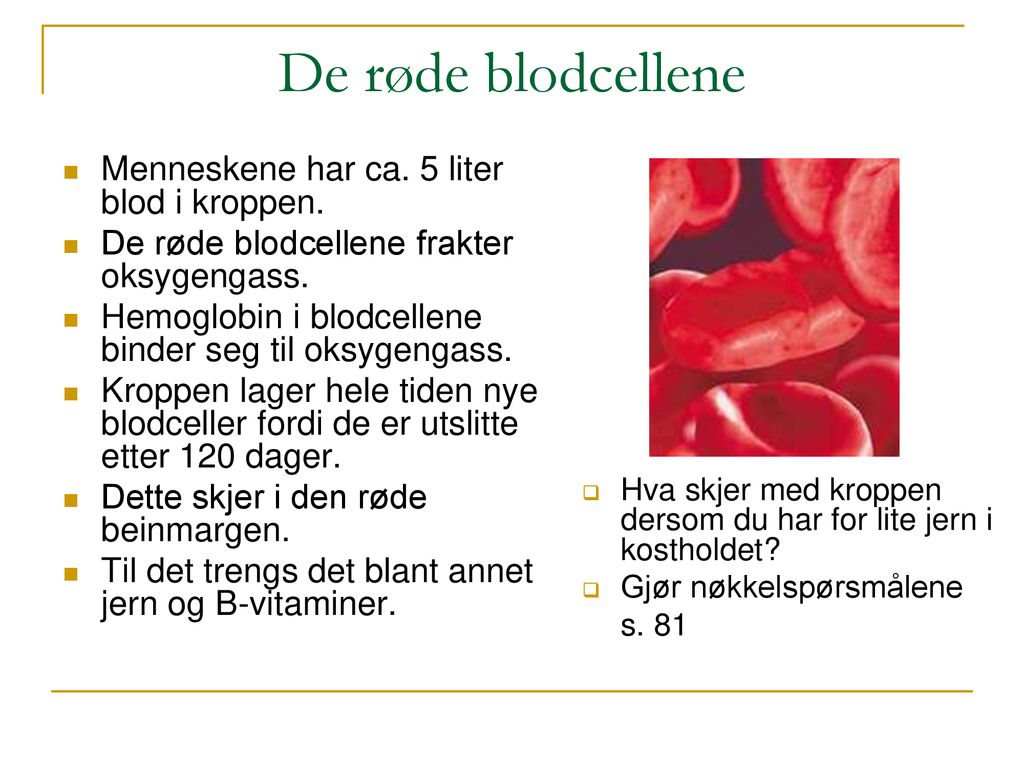 De røde blodcellene Menneskene har ca. 5 liter blod i kroppen.