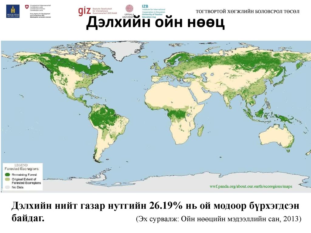 Дэлхийн ойн нөөц Дэлхийн нийт газар нутгийн 26.19% нь ой модоор бүрхэгдсэн байдаг.