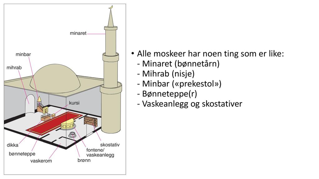 Alle moskeer har noen ting som er like: - Minaret (bønnetårn) - Mihrab (nisje) - Minbar («prekestol») - Bønneteppe(r) - Vaskeanlegg og skostativer