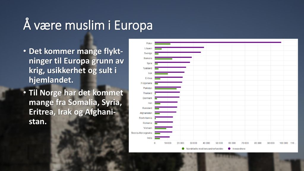 Å være muslim i Europa Det kommer mange flykt- ninger til Europa grunn av krig, usikkerhet og sult i hjemlandet.