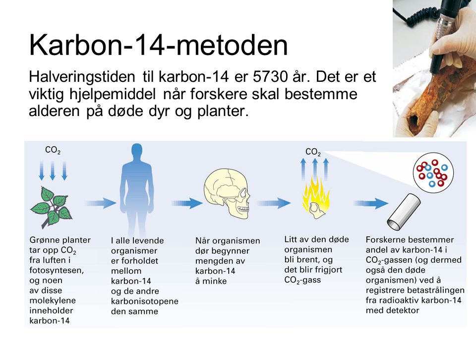 Karbon-14-metoden Halveringstiden til karbon-14 er 5730 år.