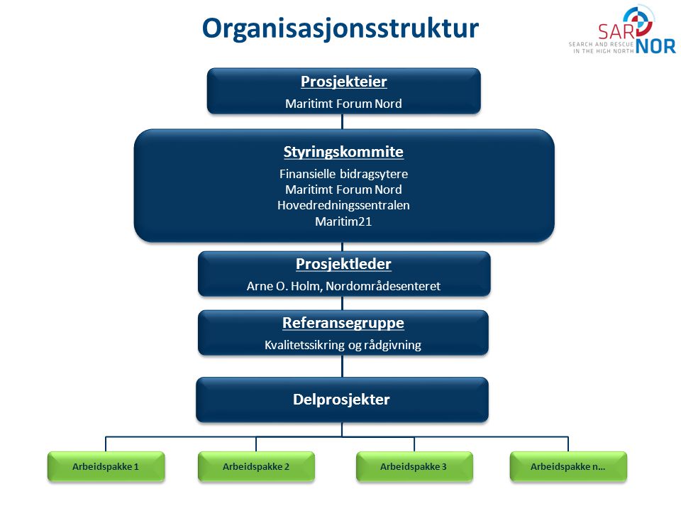 Organisasjonsstruktur
