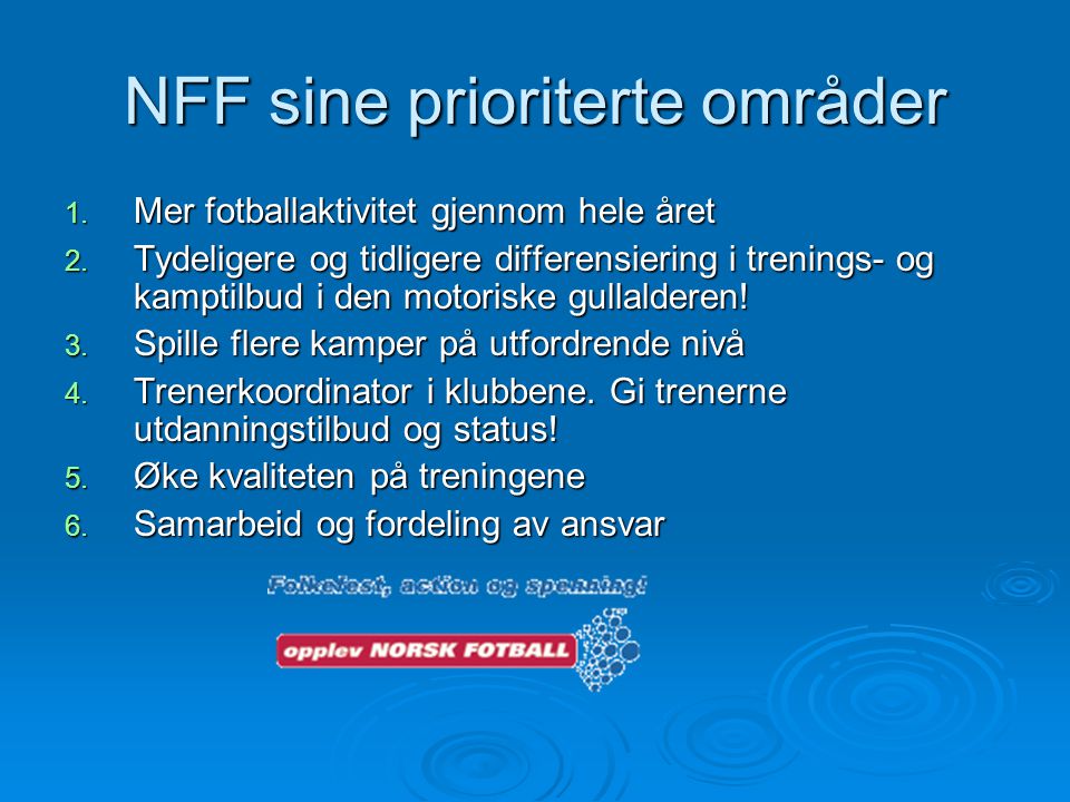 NFF sine prioriterte områder