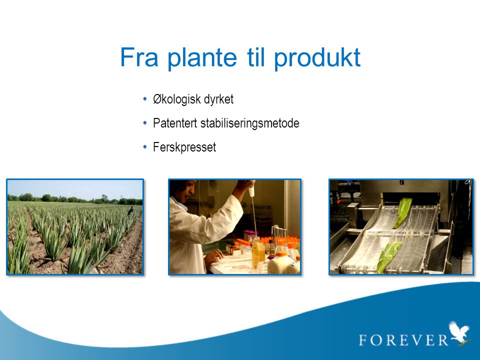 Fra plante til produkt Økologisk dyrket Patentert stabiliseringsmetode