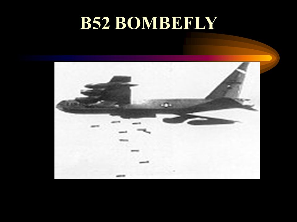 B52 BOMBEFLY