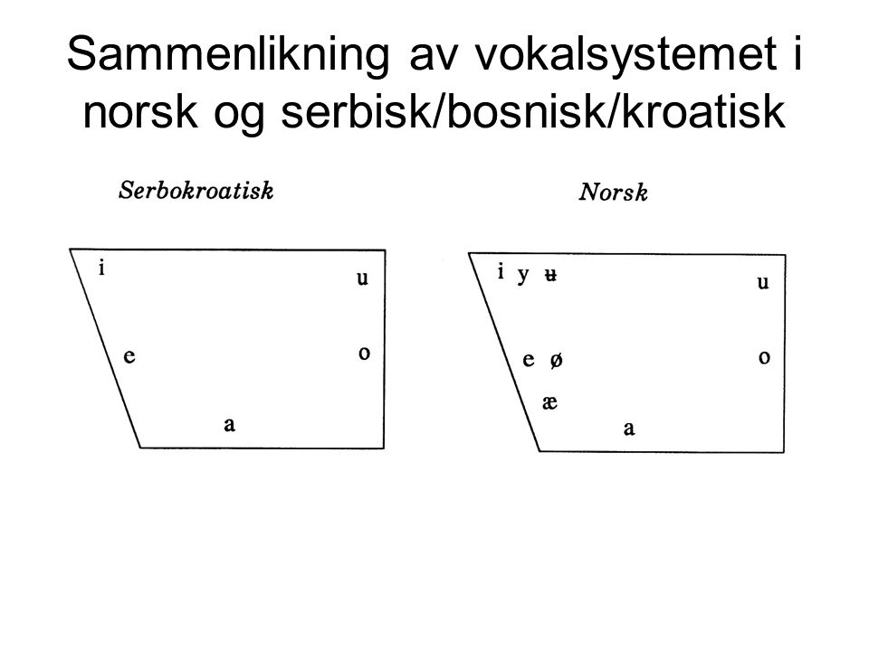 Sammenlikning av vokalsystemet i norsk og serbisk/bosnisk/kroatisk