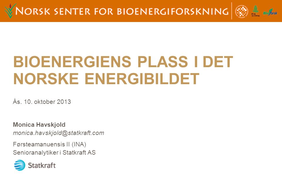 Bioenergiens plass I det norske energibildet