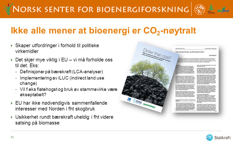 Ikke alle mener at bioenergi er CO2-nøytralt