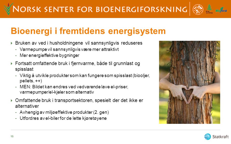Bioenergi i fremtidens energisystem
