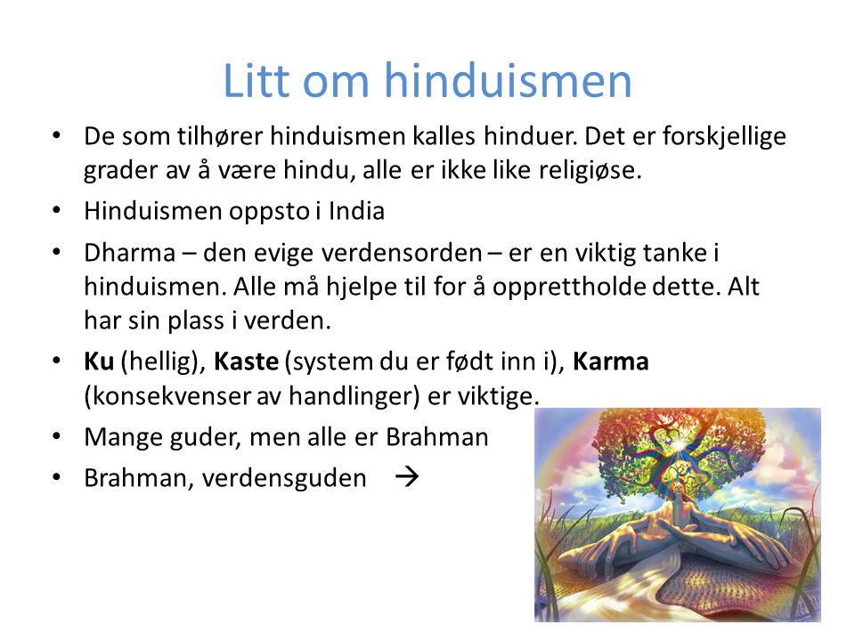 Litt om hinduismen De som tilhører hinduismen kalles hinduer. Det er forskjellige grader av å være hindu, alle er ikke like religiøse.