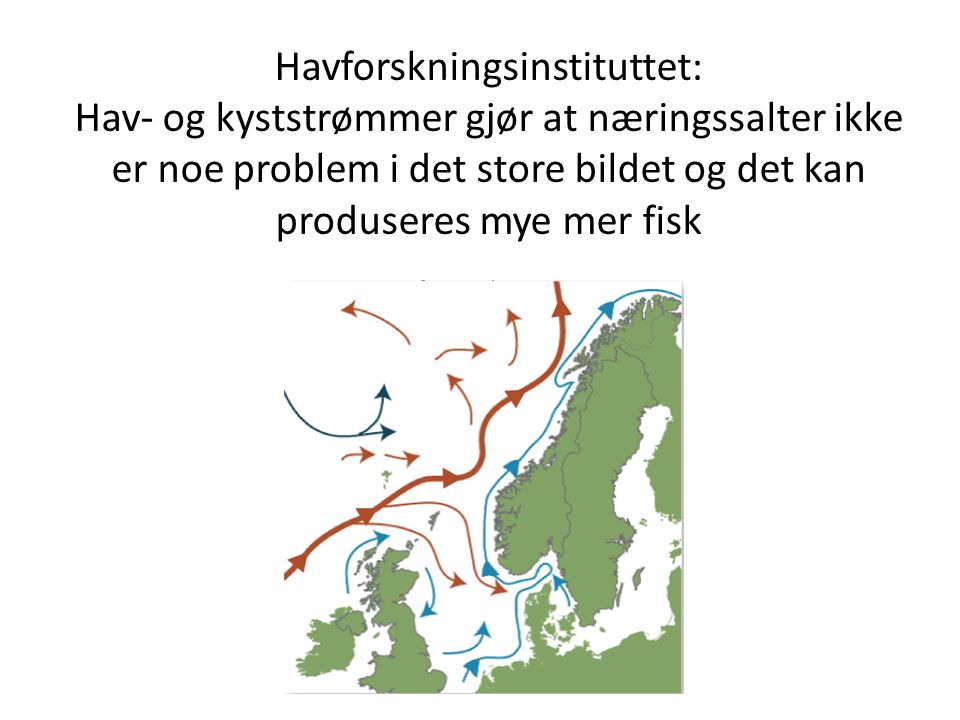 Havforskningsinstituttet: Hav- og kyststrømmer gjør at næringssalter ikke er noe problem i det store bildet og det kan produseres mye mer fisk