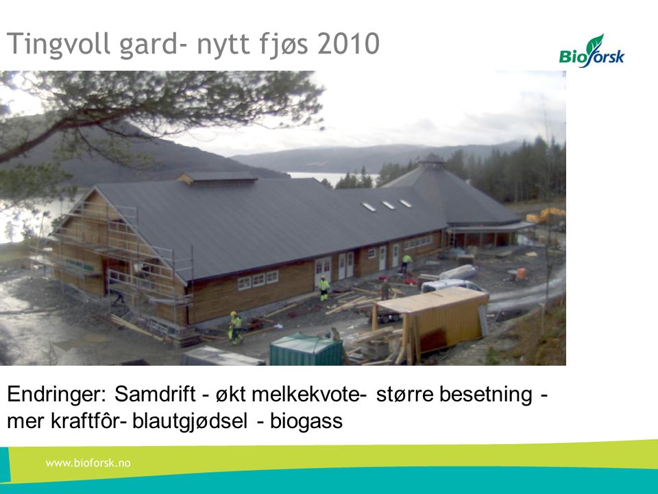 Tingvoll gard- nytt fjøs 2010