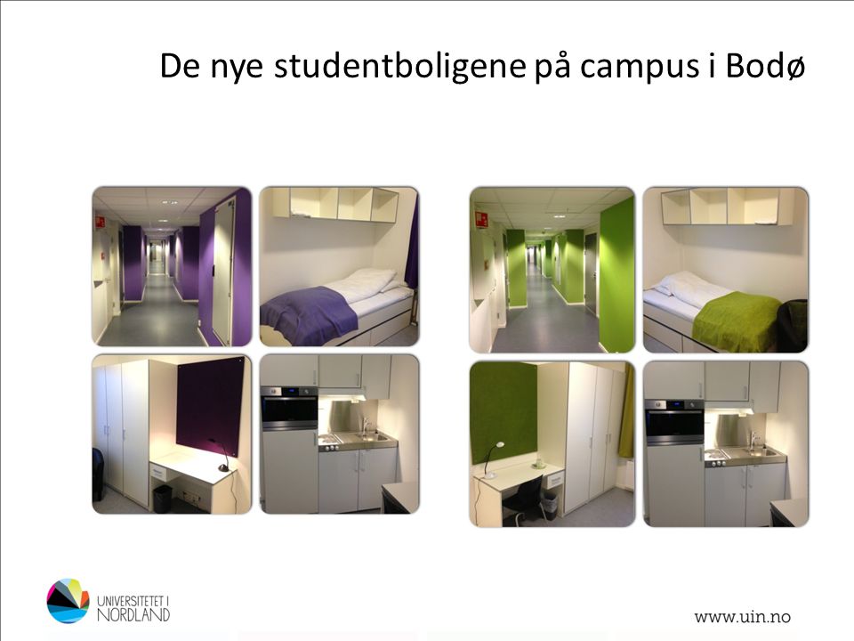 De nye studentboligene på campus i Bodø