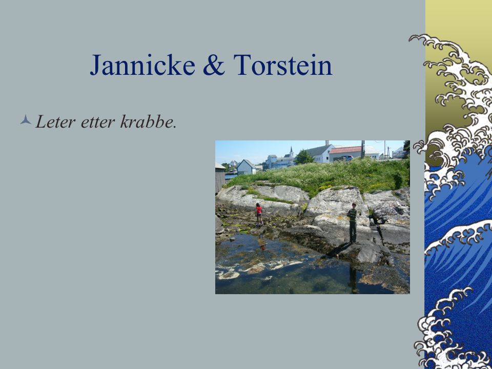 Jannicke & Torstein Leter etter krabbe.