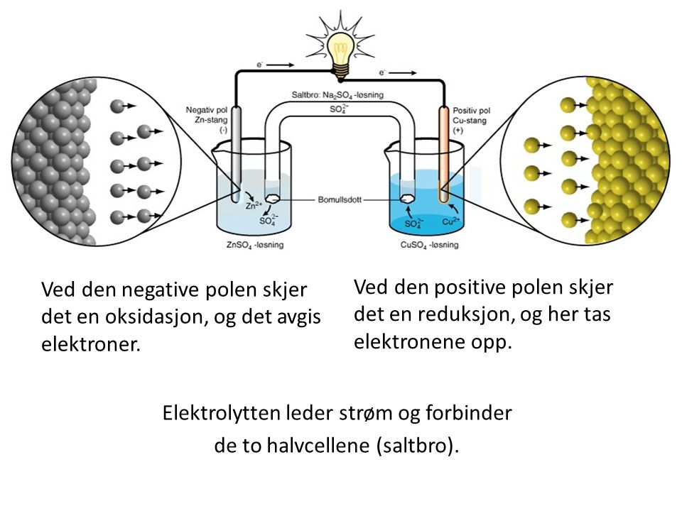 Elektrolytten leder strøm og forbinder de to halvcellene (saltbro).