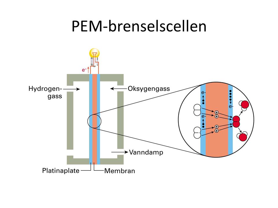 PEM-brenselscellen