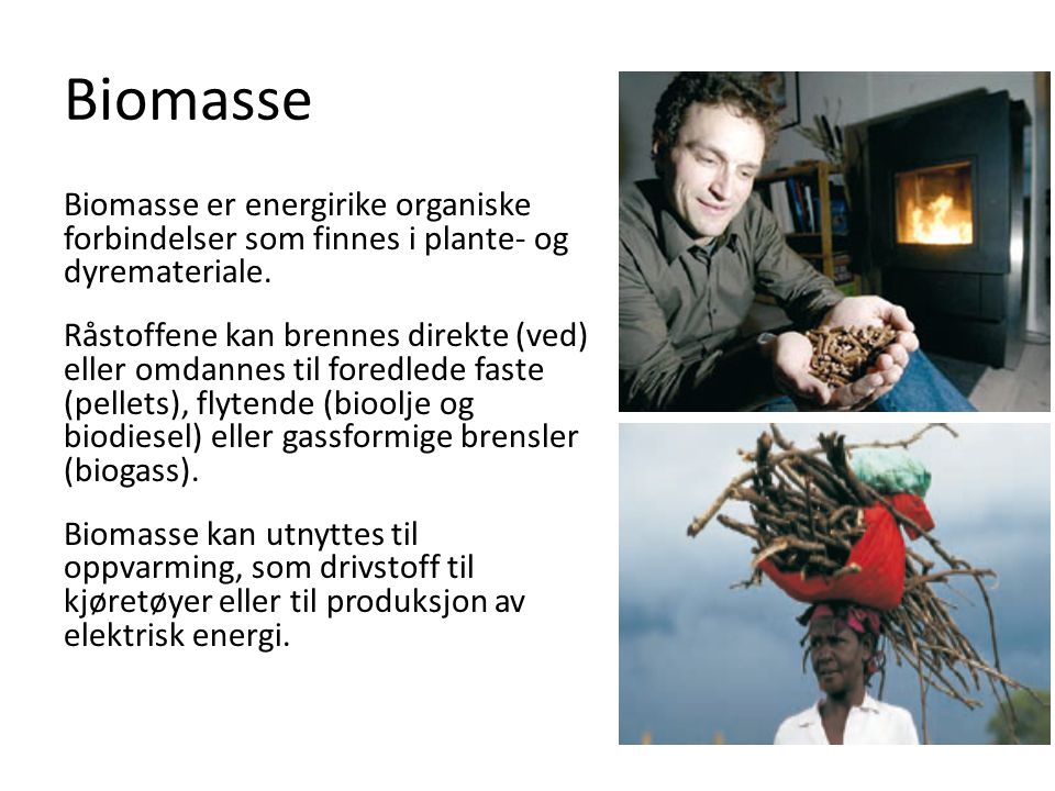 Biomasse Biomasse er energirike organiske forbindelser som finnes i plante- og dyremateriale.