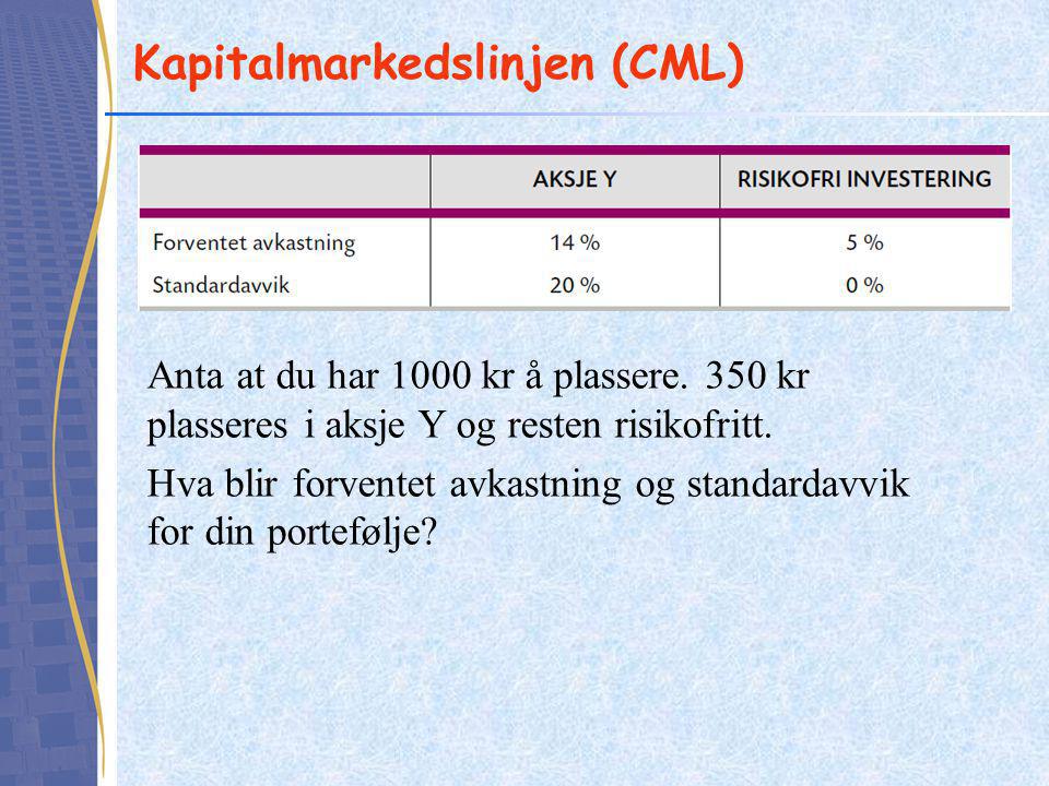 Kapitalmarkedslinjen (CML)